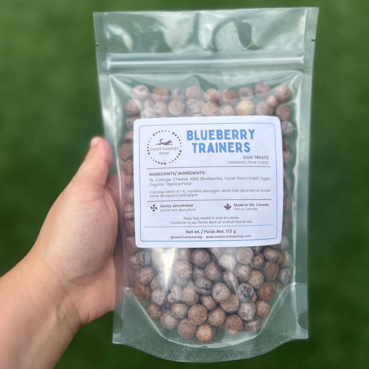 A hand holds a clear stand-up pouch of dog treats against a blurred green outdoor background. The label reads 'BLUEBERRY TRAINERS' and shows round blueberry-flavored treats inside a transparent bag.