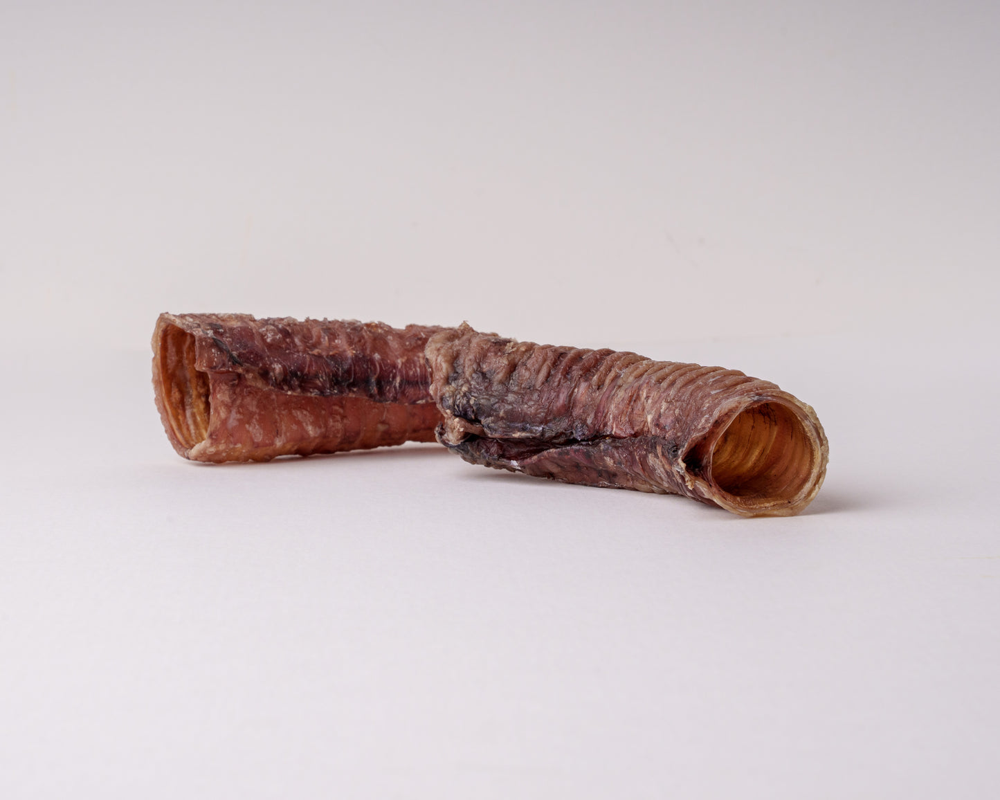 Beef Trachea on a light grey background