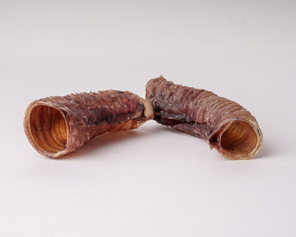 Two Beef tracheas on a light grey background
