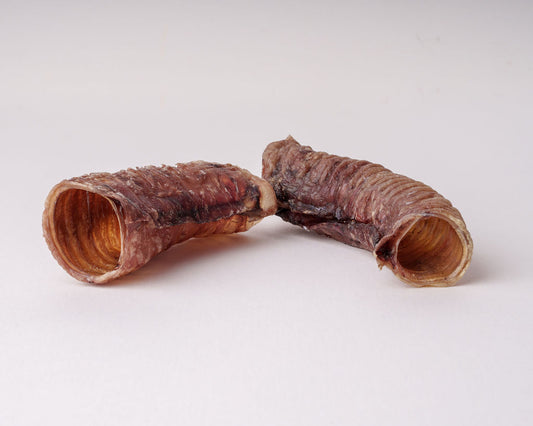 Two Beef tracheas on a light grey background
