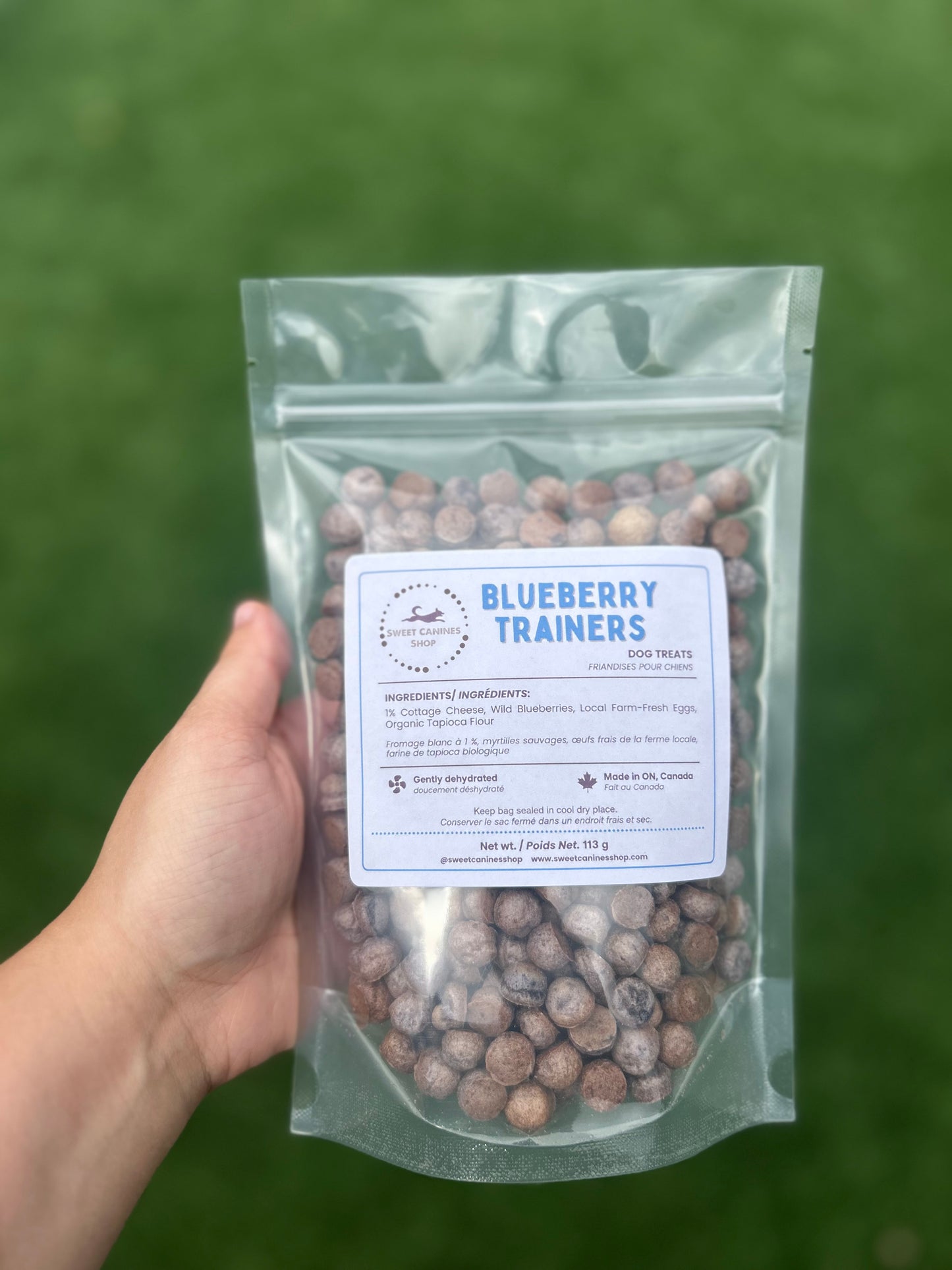 A hand holds a clear stand-up pouch of dog treats against a blurred green outdoor background. The label reads 'BLUEBERRY TRAINERS' and shows round blueberry-flavored treats inside a transparent bag.