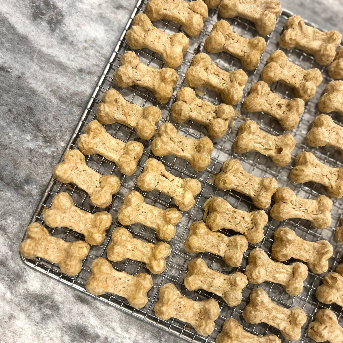 Rows of baked bone-shaped dog treats cooling on a metal wire rack over a gray stone surface.