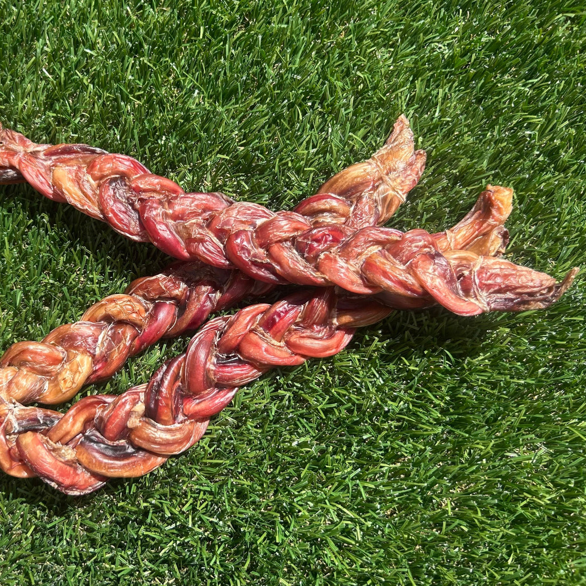 Two braided dog chew treats made from veal pizzle, displayed on green grass.