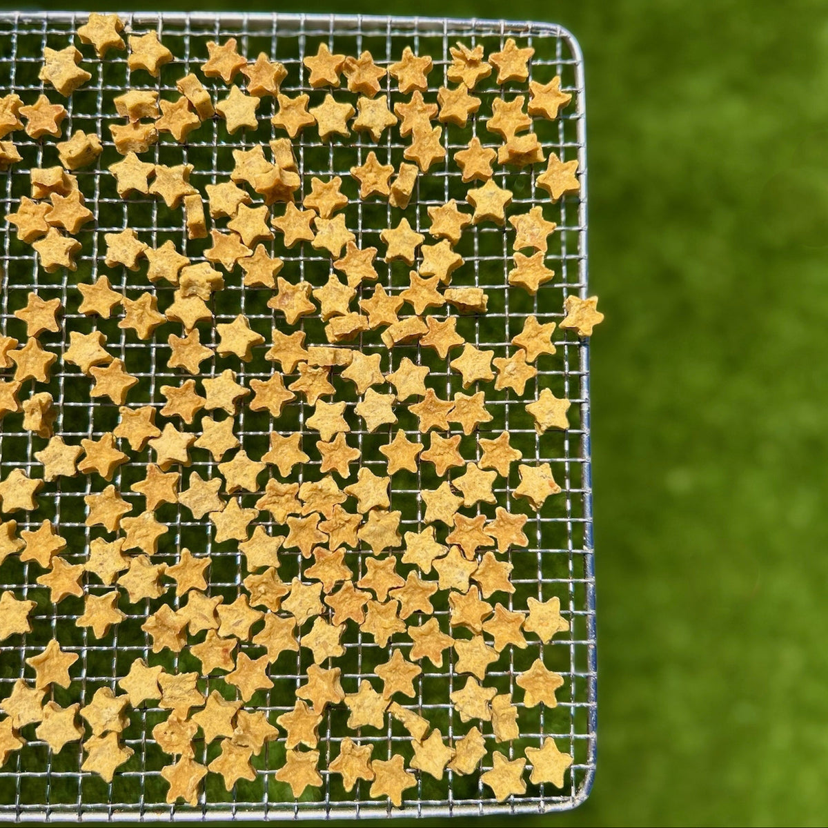 Star-shaped baked cookies spread across a square metal wire cooling rack, set against a soft-focus green grassy background.
