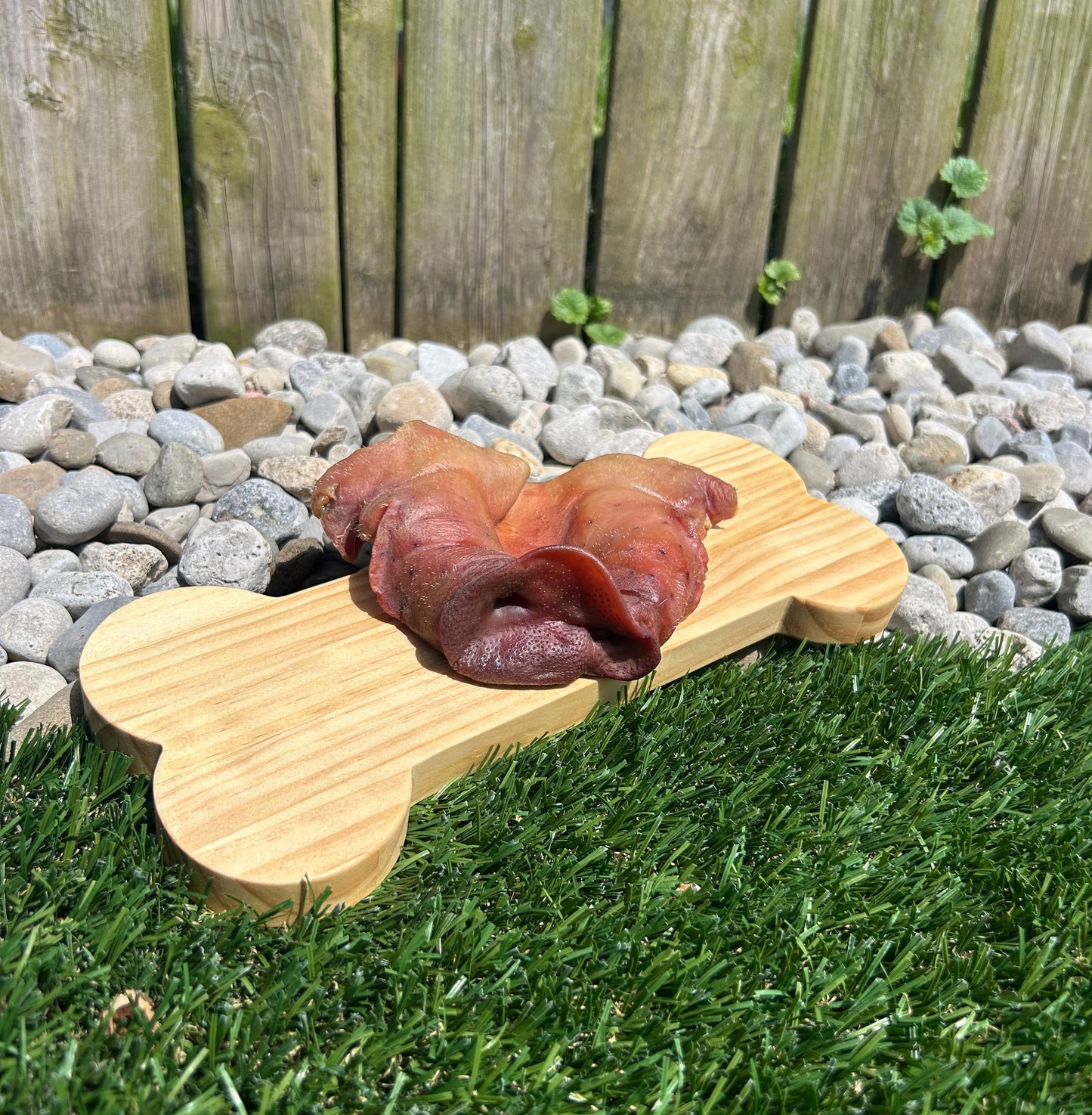 Pork Snout