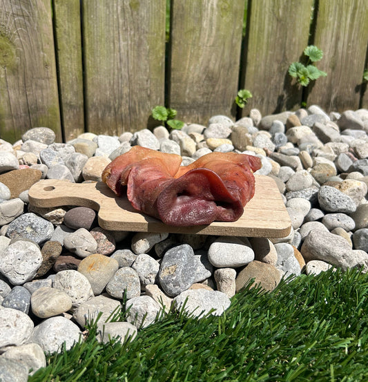 pig snout on a wooden board with pebbles and grass in the background