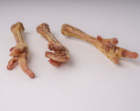 Three dried turkey feet on a white background