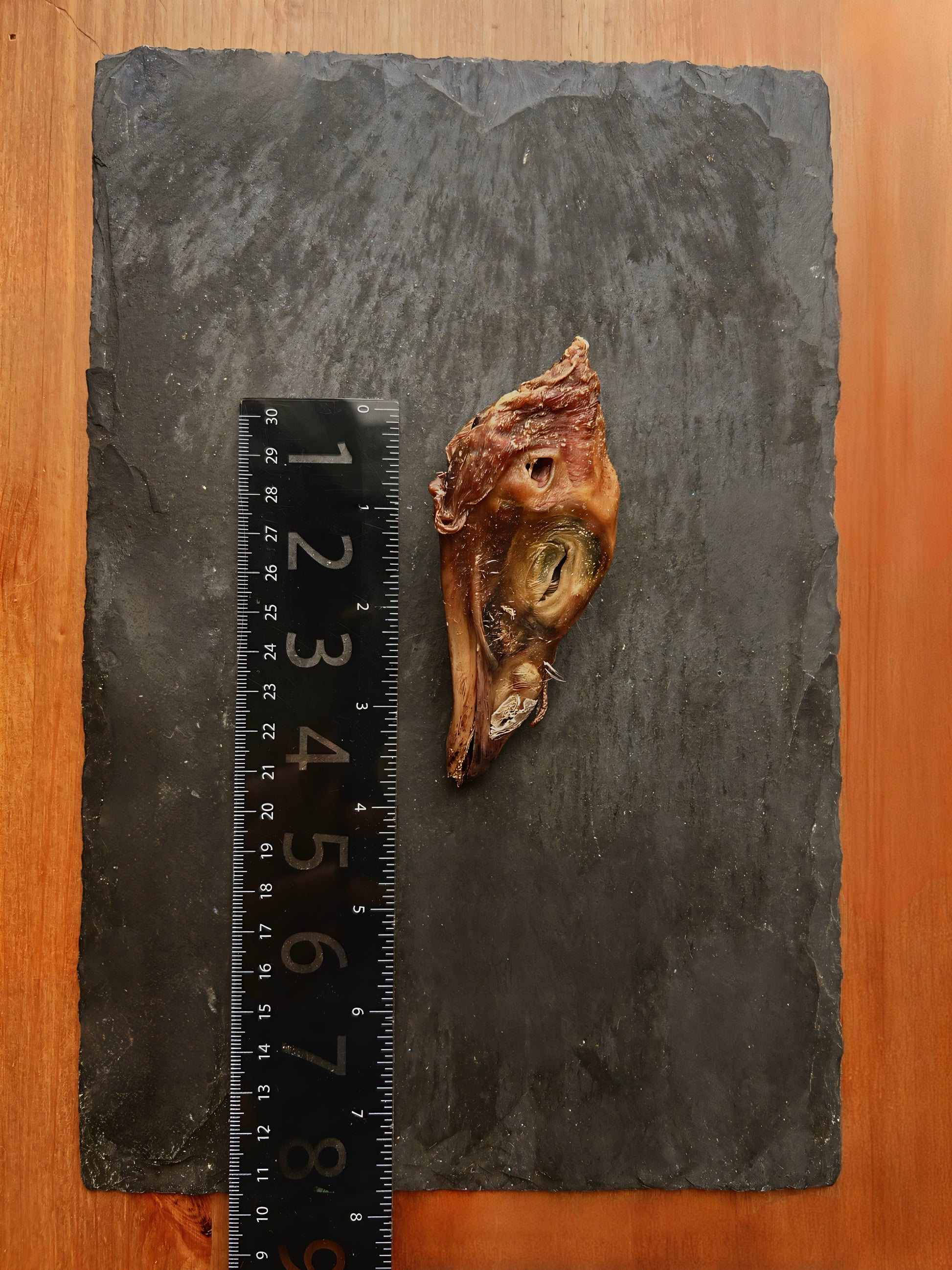 Turkey Heads  image 1