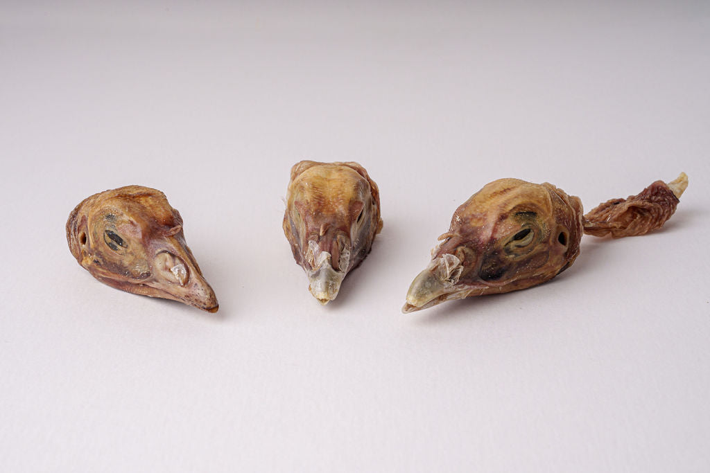 3 Dehydrate Turkey Heads
