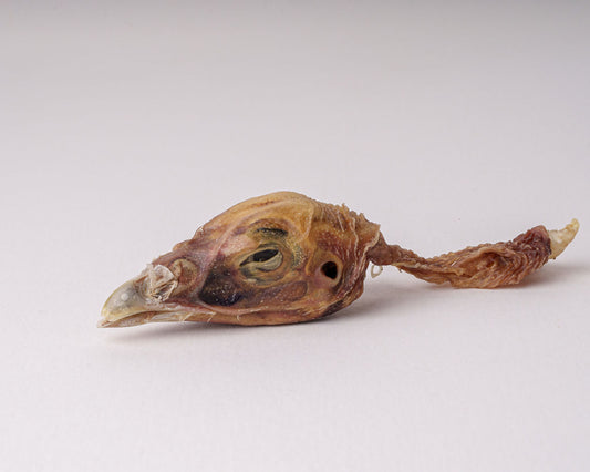 dehydrated turkey head
